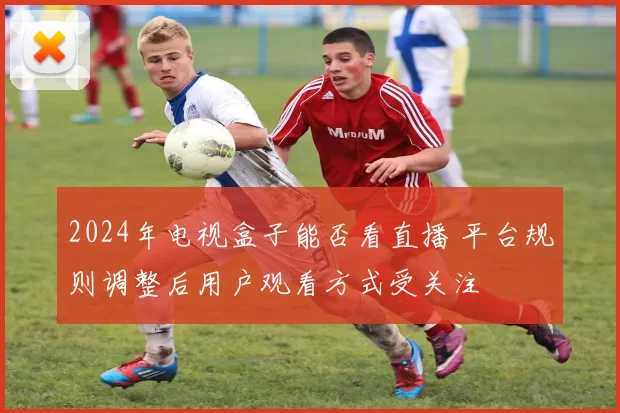 2024年电视盒子能否看直播 平台规则调整后用户观看方式受关注