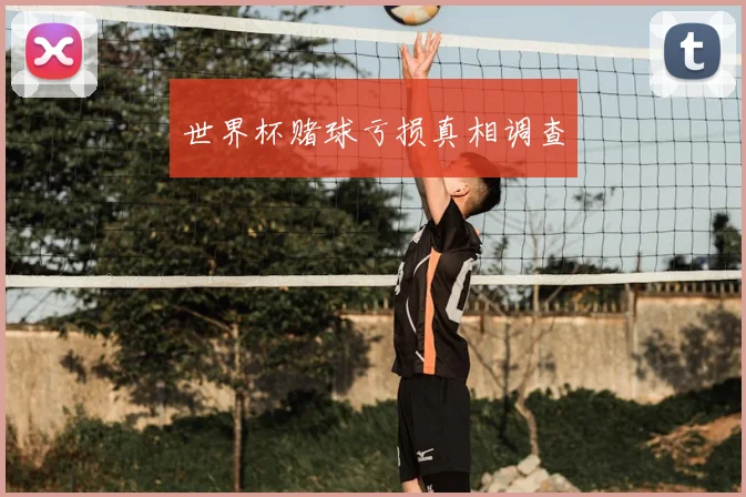 世界杯赌球亏损真相调查